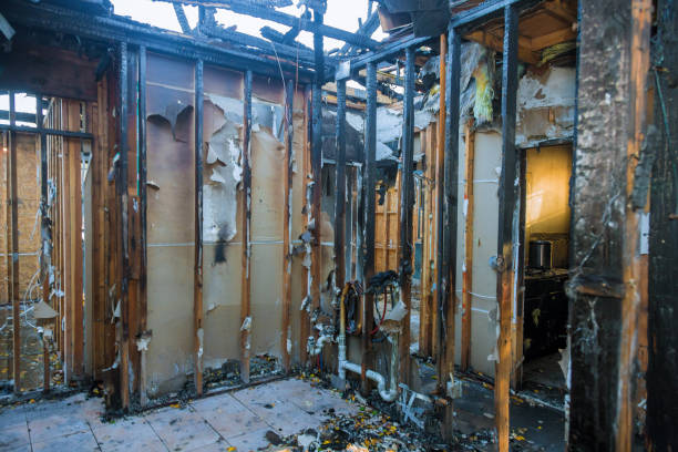 Professional Fire Damage Removal technician working in Collinsville, VA